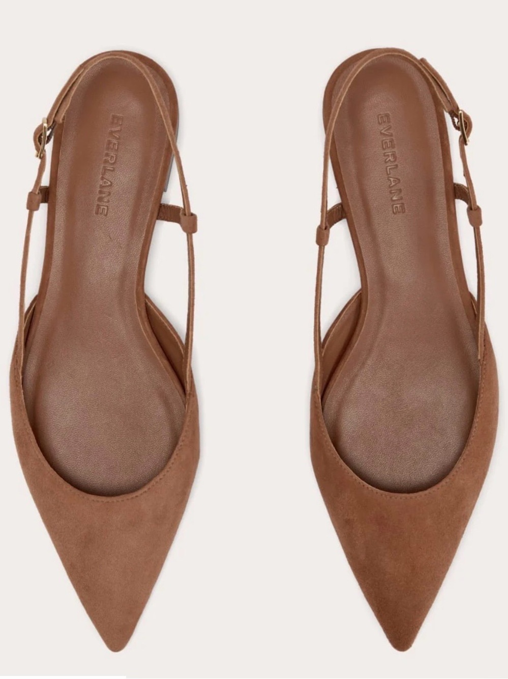 NWOT Everlane The Studio Slingback Flat